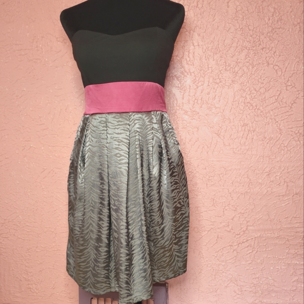 Wet Seal Women’s Strapless Mini – Pleated Animal Print Party Dress